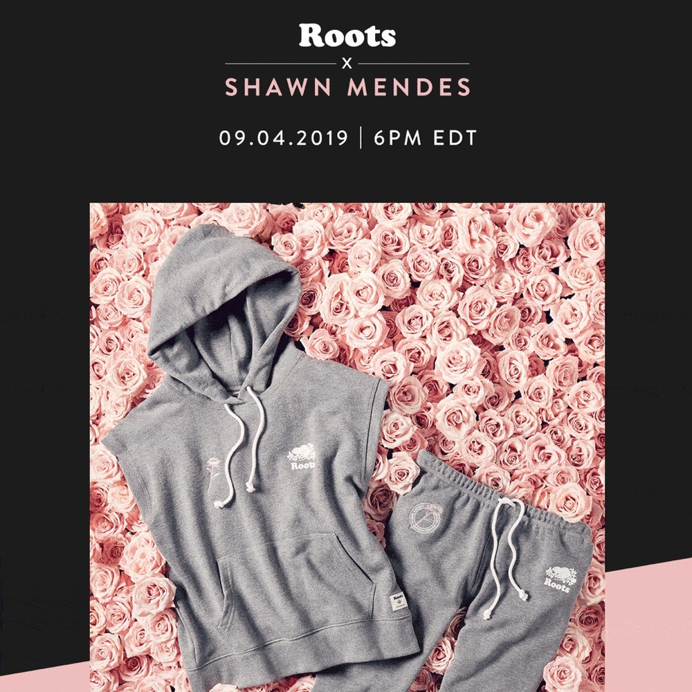 Roots X Shawn Mendes Gray Sleeveless Hoodie - Picture 2 of 5